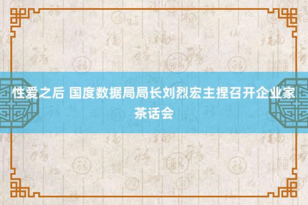 性爱之后 国度数据局局长刘烈宏主捏召开企业家茶话会
