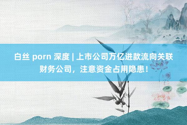 白丝 porn 深度 | 上市公司万亿进款流向关联财务公司，注意资金占用隐患！