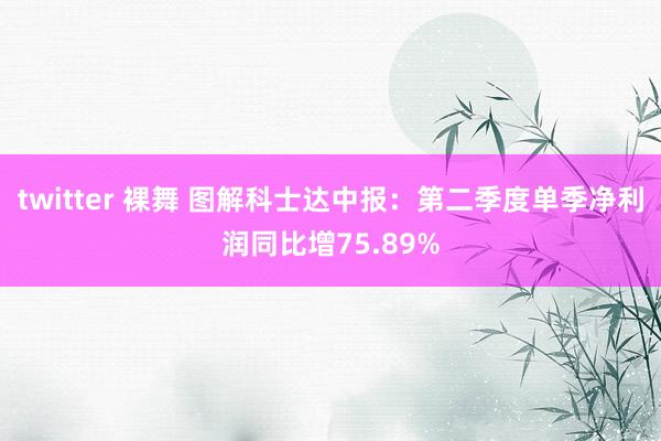 twitter 裸舞 图解科士达中报：第二季度单季净利润同比增75.89%