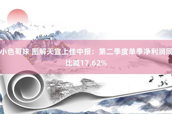 小色哥妹 图解天宜上佳中报：第二季度单季净利润同比减17.62%