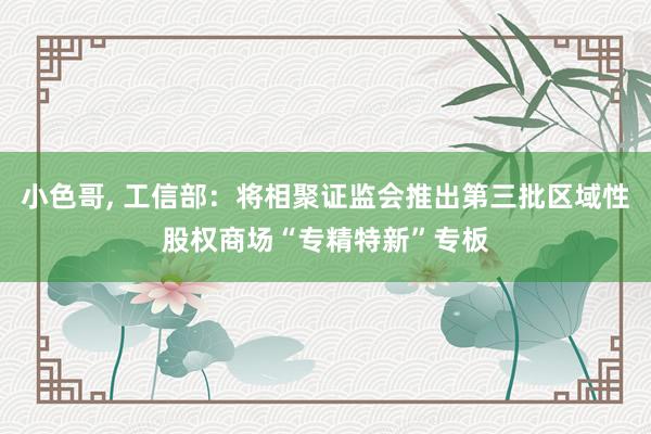小色哥， 工信部：将相聚证监会推出第三批区域性股权商场“专精特新”专板