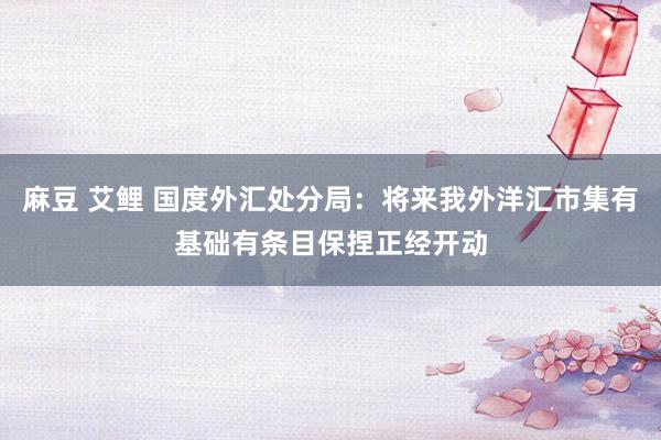 麻豆 艾鲤 国度外汇处分局：将来我外洋汇市集有基础有条目保捏正经开动