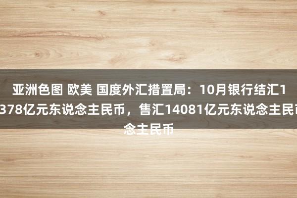 亚洲色图 欧美 国度外汇措置局：10月银行结汇15378亿元东说念主民币，售汇14081亿元东说念主民币