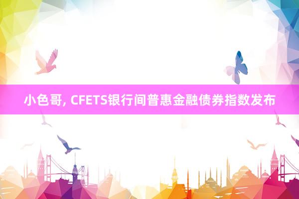 小色哥， CFETS银行间普惠金融债券指数发布