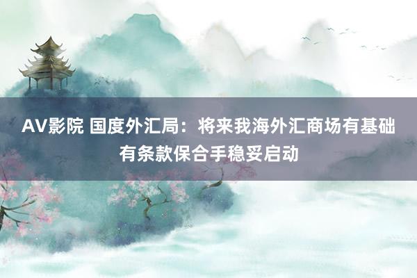AV影院 国度外汇局：将来我海外汇商场有基础有条款保合手稳妥启动