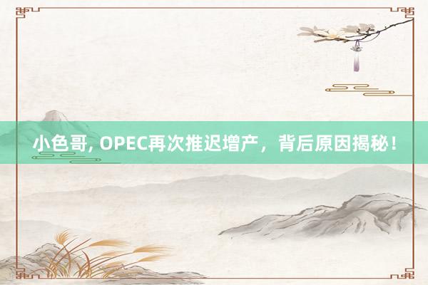 小色哥， OPEC再次推迟增产，背后原因揭秘！