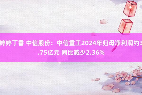 婷婷丁香 中信股份：中信重工2024年归母净利润约3.75亿元 同比减少2.36%