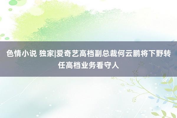 色情小说 独家|爱奇艺高档副总裁何云鹏将下野转任高档业务看守人