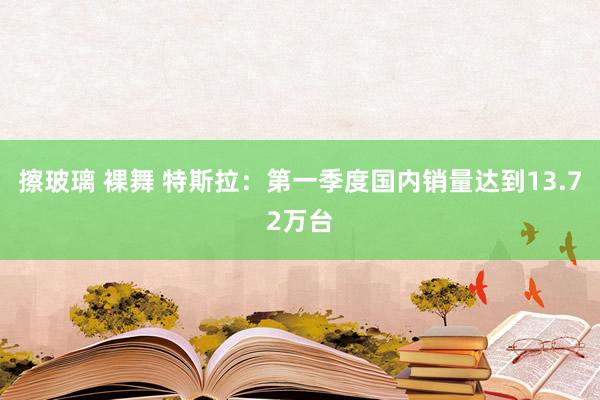 擦玻璃 裸舞 特斯拉：第一季度国内销量达到13.72万台